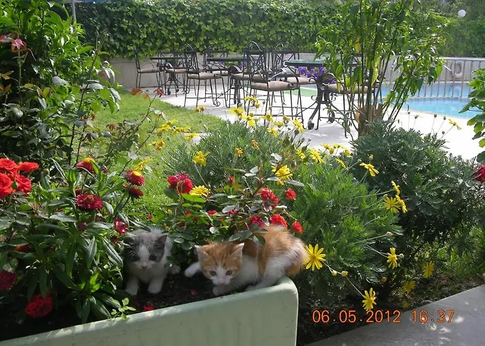 Lila Lejlighedshotel